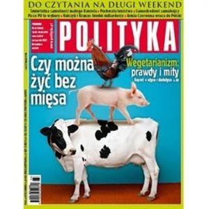 AudioPolityka Nr 33 z 12 sierpnia 2013, Polityka