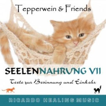 Seelennahrung 7: Texte zur Besinnung und Einkehr (Tepperwein and Friends) audiobook, N.N.