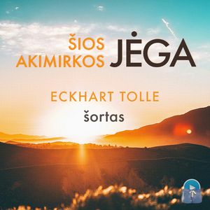 Šios akimirkos jėga (šortas), Eckhart Tolle