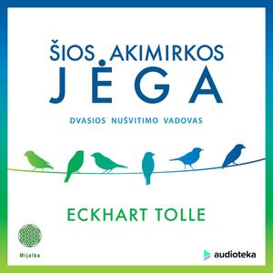 ŠIOS AKIMIRKOS JĖGA. Dvasios nušvitimo vadovas, Eckhart Tolle