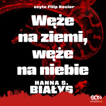 Węże na ziemi, węże na niebie. Komisarz Bondys. Tom 3 audiobook, Hanna S. Białys