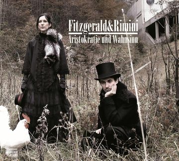 Aristokratie und Wahnsinn audiobook, Elsa Fitzgerald