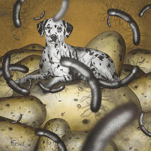 Brief #93 – Wirus HIV, bags for life i zdrowie psychiczne pracowników, Outride.rs