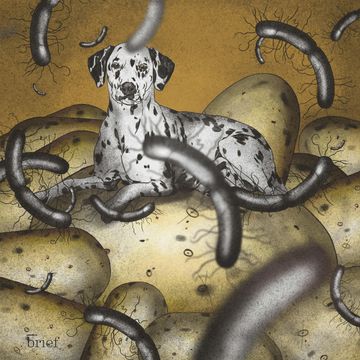 Brief #93 – Wirus HIV, bags for life i zdrowie psychiczne pracowników audiobook, Outride.rs