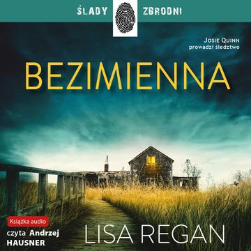 Bezimienna audiobook, Lisa Regan