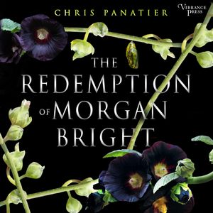 The Redemption of Morgan Bright (Unabridged), Chris Panatier