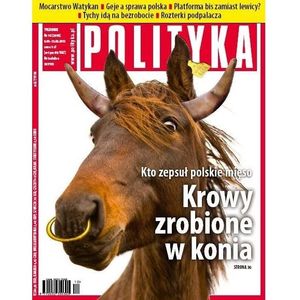 AudioPolityka Nr 10 z 6 marca 2013, Polityka