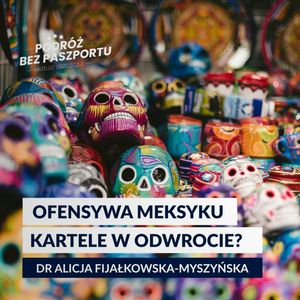 JAK DZIAŁAJĄ KARTELE W MEKSYKU? FENTANYL I WOJNA TRUMPA, Mateusz Grzeszczuk