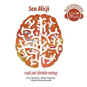 Sen Alicji, czyli jak działa mózg, Jerzy Vetulani, Marcin Wierzchowski, Maria Mazurek