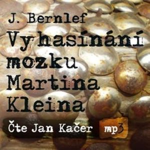 Vyhasínání mozku Martina Kleina, J. Bernlef