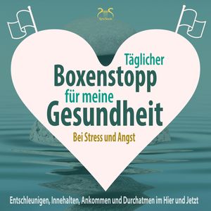 Täglicher Boxenstopp für meine Gesundheit! Entschleunigen, Innehalten, Ankommen und Durchatmen im Hier und Jetzt, Torsten Abrolat