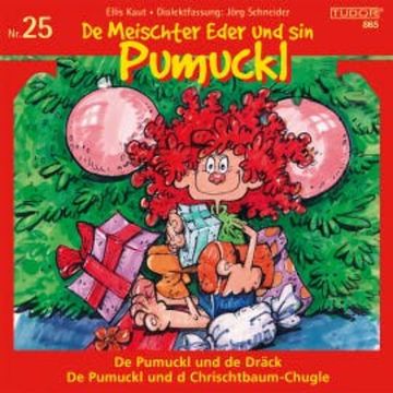 De Meischter Eder und sin Pumuckl, Nr. 25 audiobook, Ellis Kaut