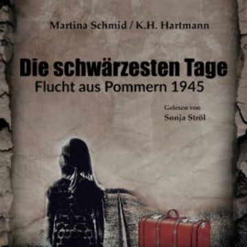 Die schwärzesten Tage audiobook, Martina Schmid
