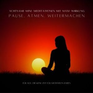 Pause. Atmen. Weitermachen - Achtsame MINI-Meditationen mit MAXI-Wirkung, Patrick Lynen