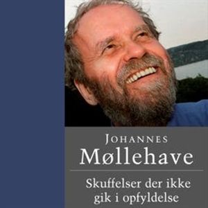 Skuffelser der ikke gik i opfyldelse, Johannes Møllehave