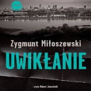 Uwikłanie, Zygmunt Miłoszewski