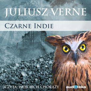 Czarne Indie, Juliusz Verne
