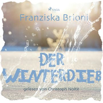 Der Winterdieb audiobook, Franziska Brioni