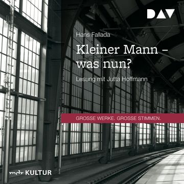 Kleiner Mann - was nun? audiobook, Hans Fallada