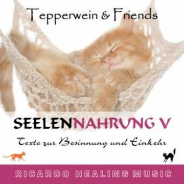 Seelennahrung 5: Texte zur Besinnung und Einkehr (Tepperwein and Friends) audiobook, N.N.
