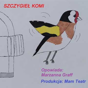 Szczygieł Komi audiobook, Marzanna Graff