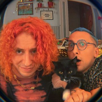 Trauma z budyniem, a kot w guacamole audiobook, Vogule Poland