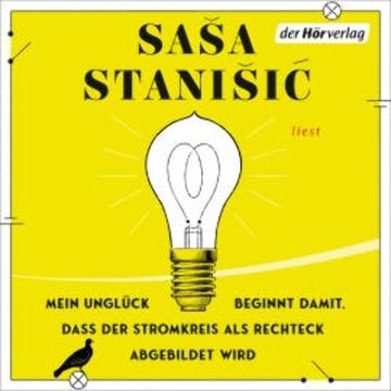 Mein Unglück beginnt damit, dass der Stromkreis als Rechteck abgebildet wird audiobook, Saša Stanišić