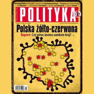 AudioPolityka Nr 41 z 7 października 2020 roku, Polityka