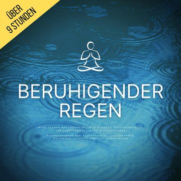 Beruhigender Regen (Naturgeräusche pur, Regentropfen, Leichter Regen, Waldregen, Leichtes Gewitter, Sommerregen), Regengeräusche zur Stressbewältigung