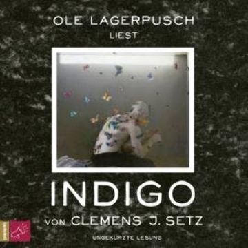 Indigo (Ungekürzt) audiobook, Clemens J. Setz