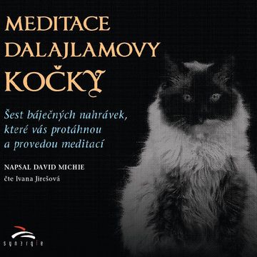 Meditace dalajlamovy kočky audiobook, David Michie