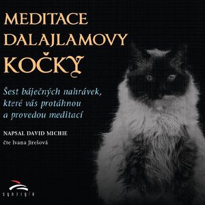 Meditace dalajlamovy kočky, David Michie