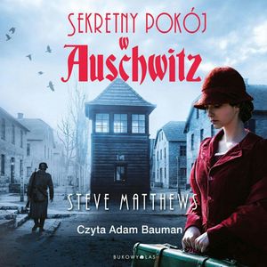 Sekretny pokój w Auschwitz, Steve Matthews