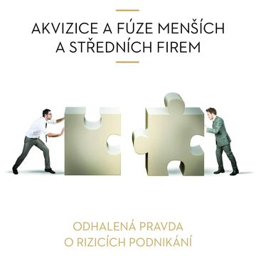 Akvizice a fúze menších a středních firem audiobook, Vladimír John