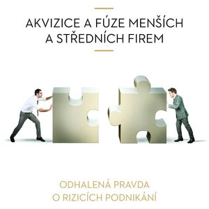 Akvizice a fúze menších a středních firem, Vladimír John