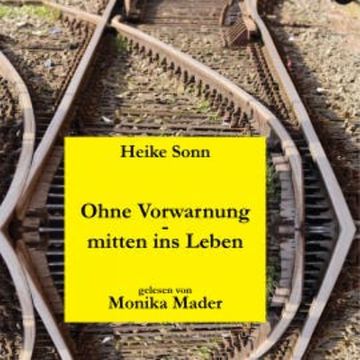 Ohne Vorwarnung - mitten ins Leben audiobook, Heike Sonn