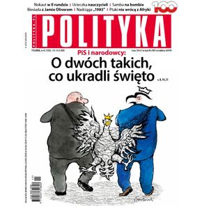 AudioPolityka Nr 45 z 07 listopada 2018, Polityka