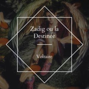 Zadig ou la Destinée, Voltaire