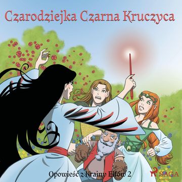 Opowieść z Krainy Elfów 2. Czarodziejka Czarna Kruczyca audiobook, Peter Gotthardt