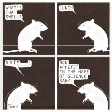 Brief #70 – Nowy lek na malarię, zmiany klimatu w Himalajach i wojna handlowa między USA a Chinami audiobook, Outride.rs