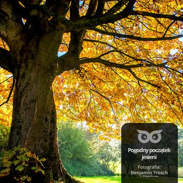 [24] Co to jest babie lato? audiobook, Daniel Mróz