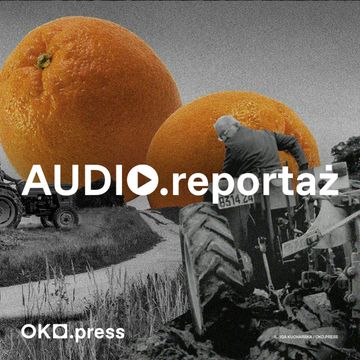 Była bitwa na traktory. Wszystkie ucieczki Zygfryda audiobook, OKO.press