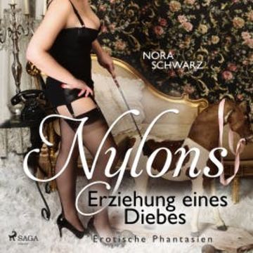 Nylons: Erziehung eines Diebes - Erotische Phantasien audiobook, Nora Schwarz