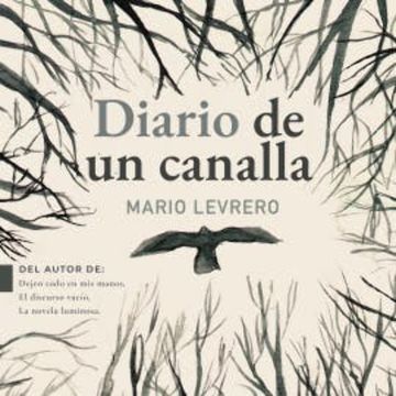 Diario de un canalla audiobook, Mario Levrero