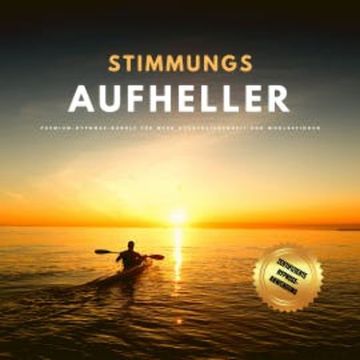 Stimmungsaufheller audiobook, Patrick Lynen