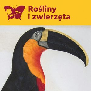 Francois Levaillant i barwne atlasy ornitologiczne, Międzynarodowe Centrum Kultury