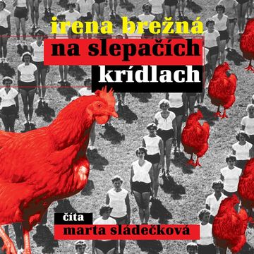Na slepačích krídlach audiobook, Irena Brežná