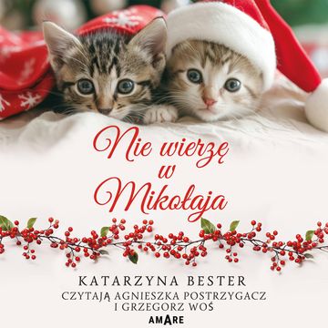 Nie wierzę w Mikołaja audiobook, Katarzyna Bester