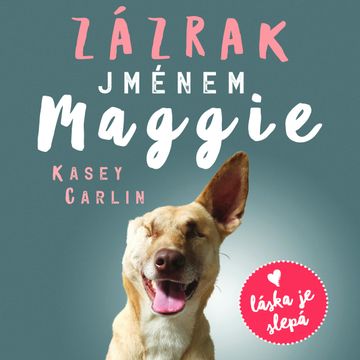Zázrak jménem Maggie audiobook, Kasey Carlin