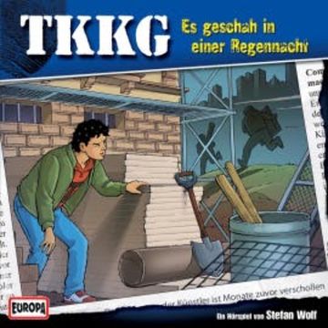 TKKG - Folge 153: Es geschah in einer Regennacht audiobook, Stefan Wolf